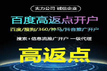 百度竞价推广案例：品牌崛起之路